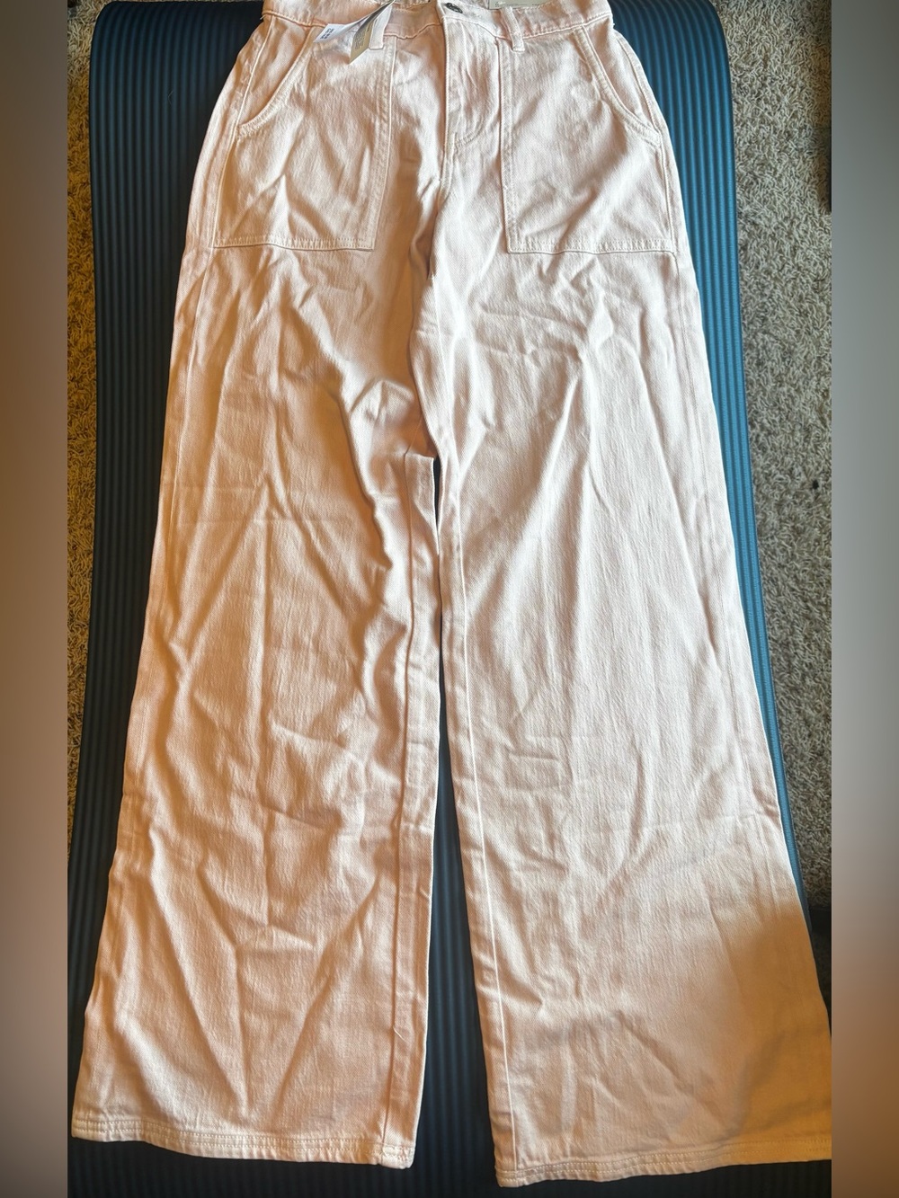 American Eagle Outfitters Men's Wide-Leg Corduroy Pants in Light Pink